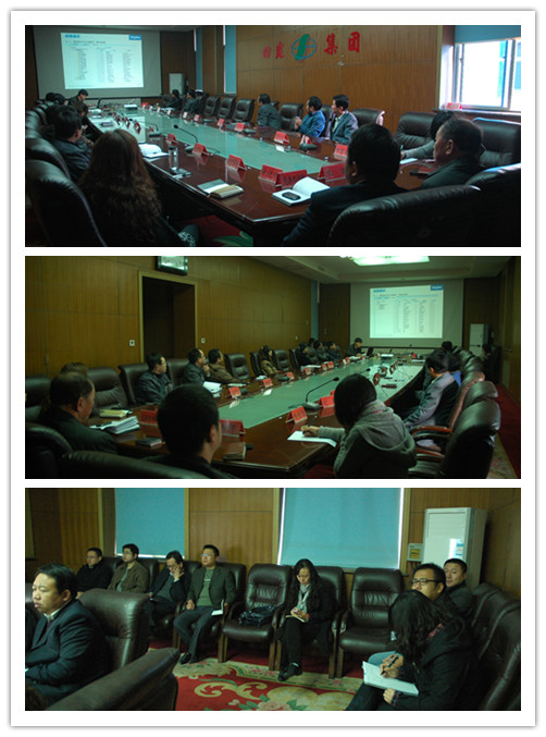 公司召开信息化门徒娱乐交底交流工作会