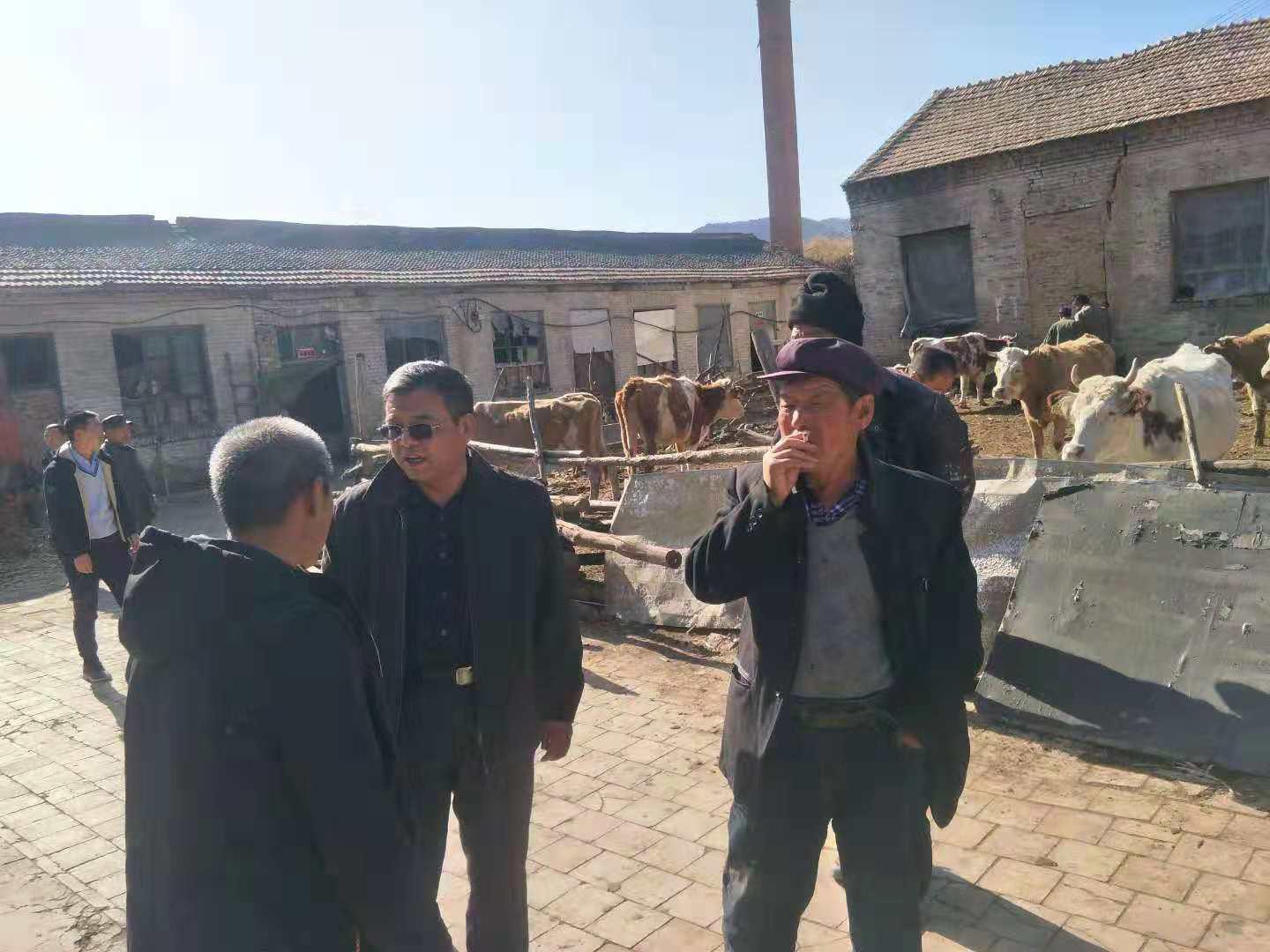 门徒娱乐·(中国区)官方网站平台